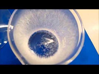 Szalicilsav szublimációja