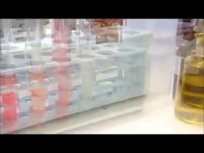 Hangyasav reakciója